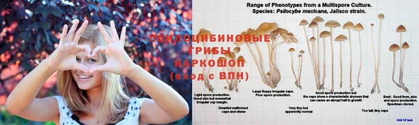 прущая мука Осташков