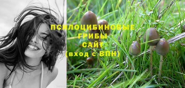 спиды Бежецк