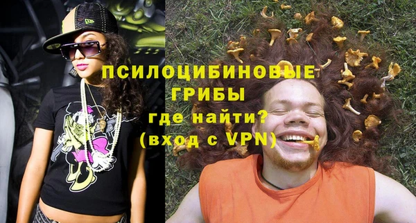 прущий лед Ельня