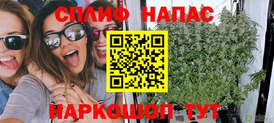 Альфа ПВП Канаш