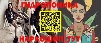 прущие грибы Кандалакша