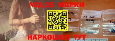 прущие грибы Кандалакша